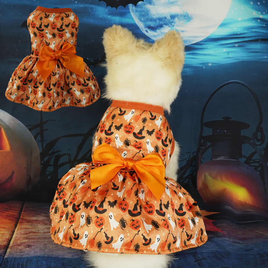 Dierenkleding Halloweenfeestjurk