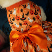 Dierenkleding Halloweenfeestjurk